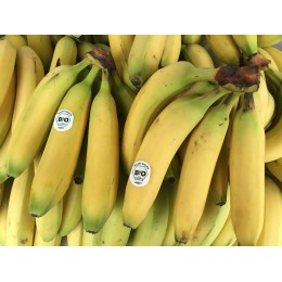 Banane des Canaries Espagne - Le Kilo