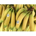 Banane des Canaries Espagne - Le Kilo