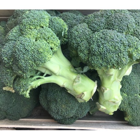 Chou Brocoli France - Le Kilo