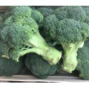 Brocoli France - Le Kilo