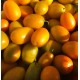 Kumquat Italie - Le Kilo