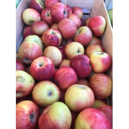 Pomme Juliet France - Le Kilo