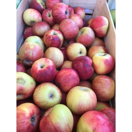 Pomme Juliet France - Le Kilo
