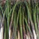Asperge Verte France - Le Kilo