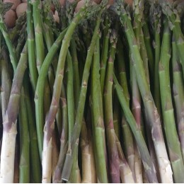 Asperge Verte France - Le Kilo