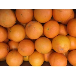 Orange Lanelate Espagne - Le Kilo