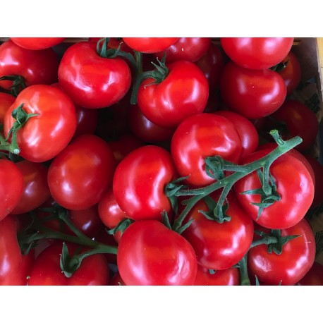 Tomate Grappe France - Le Kilo