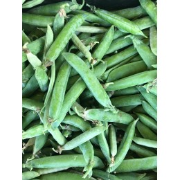 Petit Pois France - Le Kilo