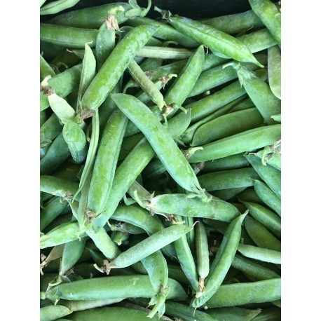 Petit Pois France - Le Kilo