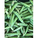 Petit Pois France - Le Kilo
