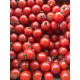 Tomate Cerise France - Le Kilo