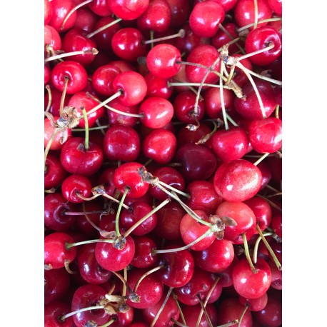 Cerise France - Le Kilo
