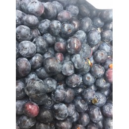 Myrtille France - Barquette 125g
