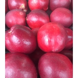 Nectarine Blanche France - Le Kilo