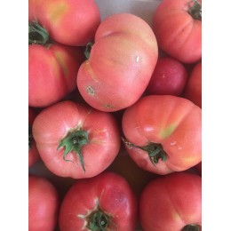 Tomate Ronde Rose de Berne - Le Kilo