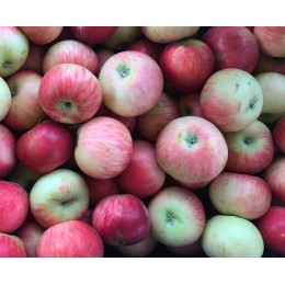 Pomme Akane (Croquante, Acidulée) France - Le Kilo