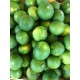 Mandarine Satsuma Espagne - le Kilo