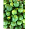 Mandarine Satsuma Italie - le Kilo