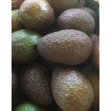 Avocat Bacon Espagne - Le Kilo