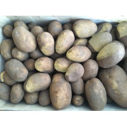 Pomme de Terre Primeur Maïwen - France - Le Kilo