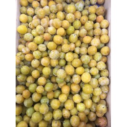 Mirabelle de Lorraine France - Le Kilo
