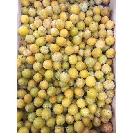Mirabelle de Lorraine France - Le Kilo