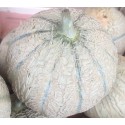Melon Charentais Jaune 1150/1300g France - La Pièce