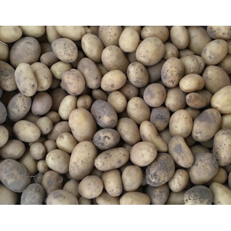 Pomme de Terre Primeur France - Le Kilo