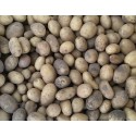Pomme de Terre Primeur Ostara France - Le Kilo