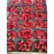 Fraise France (BZH) - Barquette 250g