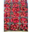 Fraise Clery France - Barquette 250g