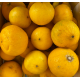 Citron Bergamote Italie - Le Kilo