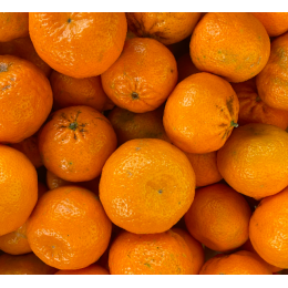 Mandarine Ciaculli Italie - Le Kilo