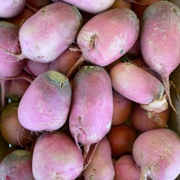 Radis Rave Pink Meat France - Le Kilo