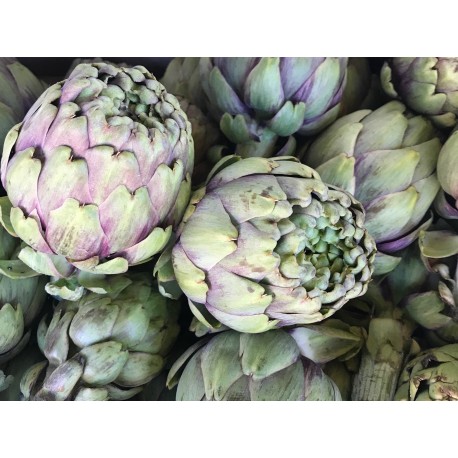 Artichaut Violet France - Le Kilo