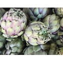Artichaut Violet France - Le Kilo