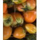 Tomate Allongée Coeur de Boeuf Jaune France - Le Kilo