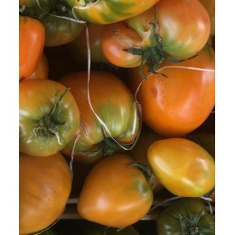 Tomate Allongée Coeur de Boeuf France - Le Kilo