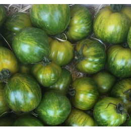 Tomate Ronde Green Zebra France - Le Kilo