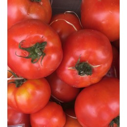 Tomate Ronde France - Le Kilo