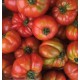 Tomate Côtelée Marmande France - Le Kilo