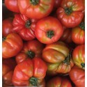 Tomate Côtelée Marmande France - Le Kilo