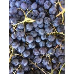 Raisin Noir Muscat de Hambourg France - Le Kilo