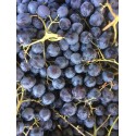 Raisin Noir Muscat de Hambourg France - Le Kilo