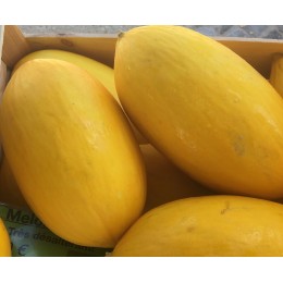 Melon Canari France - Le Kilo