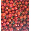 Tomate Cerise Rouge France - Le Kilo