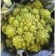 Chou Romanesco France - La Pièce
