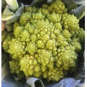 Chou Romanesco France - La Pièce