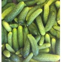 Cornichon France - Le Kilo
