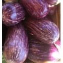 Aubergine Graffiti France - Le Kilo